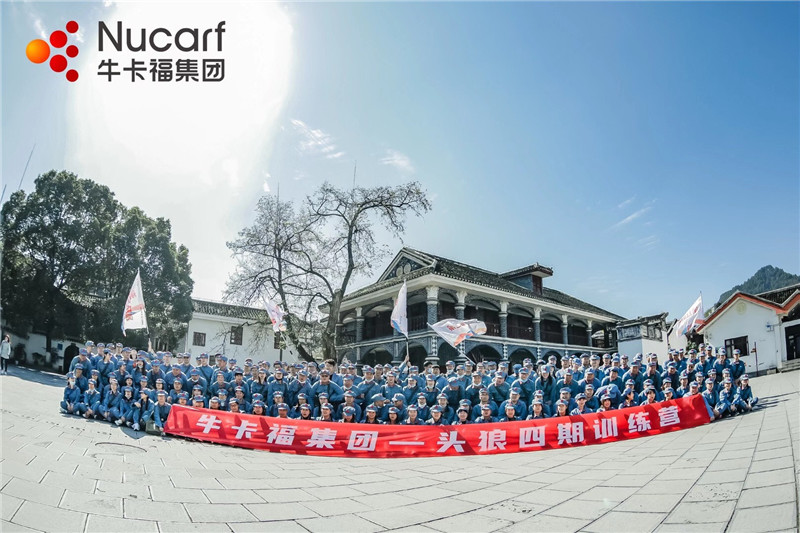牛卡福集团训练营