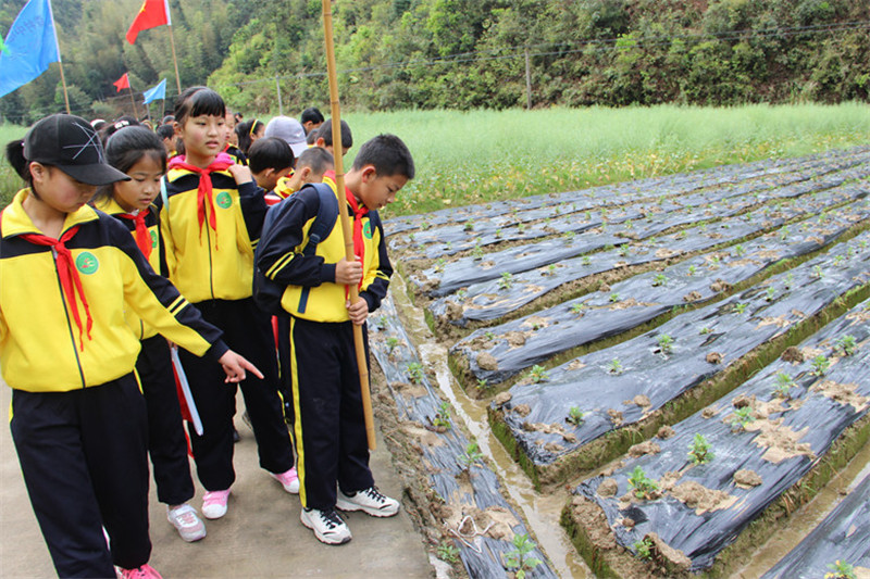 研学旅行